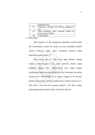 9 

 



                    panjang 19 cm
            25      Trimester 3 dimulai, berat 900 gr, panjang 25
                    cm
            28      Mata membuka, janin memutar kepala ke
                    bawah, berat 1300 gr
           38       Cukup bulan
    2) Masa Janin

              Dari minggu ke 9 dan selanjutnya, perubahan somatik terdiri

       dari pertumbuhan jumlah dan ukuran sel serta perubahan kembali

       struktur    beberepa   sistem   organ.   Perubahan    proporsi    tubuh

       digambarkan pada gambar 2.1

              Pada minggu ke 10, wajah mulai dapat dikenali sebagai

       manusia. Pada minggu ke 12, gender genetalia eksterna dapat

       dibedakan    dengan    jelas.   Perkembangan   paru   terjadi    dengan

       pembentukan tunas bronchus, bronchioles dan selanjutnya bercabang

       semakin kecil. Pada minggu ke 20 sampai minggu ke 24, alveolus

       primitife dan produksi surfaktan telah dimulai. Selama trimester ke 3,

       berat janin 3 kali lipat dan panjang menjadi 2 kali lipat sebagai

       penyimpanan protein tubuh, lemak, zat besi dan kalsium




 
 