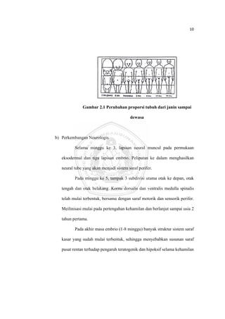 10 

 




                  Gambar 2.1 Perubahan proporsi tubuh dari janin sampai

                                             dewasa



    b) Perkembangan Neurologis

              Selama minggu ke 3, lapisan neural muncul pada permukaan

       eksodermal dan tiga lapisan embrio. Pelipatan ke dalam menghasilkan

       neural tube yang akan menjadi sistem saraf perifer.

              Pada minggu ke 5, tampak 3 subdivisi utama otak ke depan, otak

       tengah dan otak belakang. Kornu dorsalis dan ventralis medulla spinalis

       telah mulai terbentuk, bersama dengan saraf motorik dan sensorik perifer.

       Meilinisasi mulai pada pertengahan kehamilan dan berlanjut sampai usia 2

       tahun pertama.

              Pada akhir masa embrio (1-8 minggu) banyak struktur sistem saraf

       kasar yang sudah mulai terbentuk, sehingga menyebabkan susunan saraf

       pusat rentan terhadap pengaruh teratogenik dan hipoksif selama kehamilan




 
 