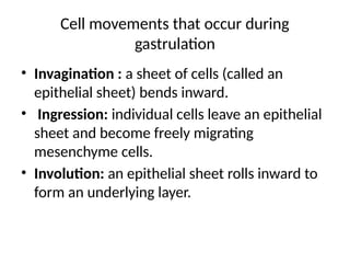 Ingression Vs Involution PERKEMBANGAN EMBRIONAL hewan fixxxx.pptx