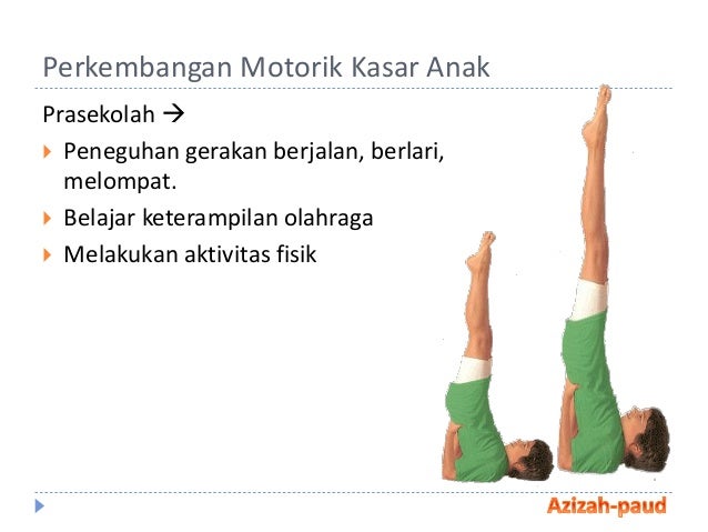 PPT Perkembangan Fisik dan Motorik Anak TK