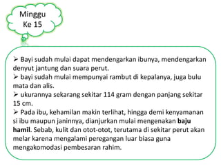 Minggu 
Ke 15 
 Bayi sudah mulai dapat mendengarkan ibunya, mendengarkan 
denyut jantung dan suara perut. 
 bayi sudah mulai mempunyai rambut di kepalanya, juga bulu 
mata dan alis. 
 ukurannya sekarang sekitar 114 gram dengan panjang sekitar 
15 cm. 
 Pada ibu, kehamilan makin terlihat, hingga demi kenyamanan 
si ibu maupun janinnya, dianjurkan mulai mengenakan baju 
hamil. Sebab, kulit dan otot-otot, terutama di sekitar perut akan 
melar karena mengalami peregangan luar biasa guna 
mengakomodasi pembesaran rahim. 
 