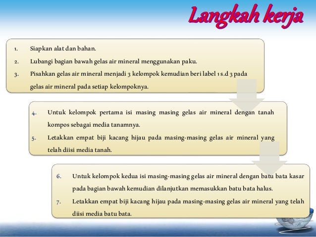 Pengaruh media tanam pada perkembangan kacang hijau
