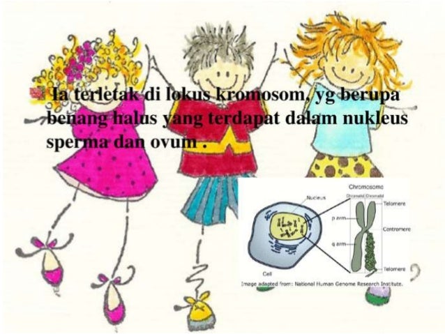 Perkembangan kanak-kanak - EDUP3023 Perkembangan Awal 