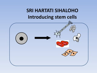 SRI HARTATI SIHALOHO
Introducing stem cells
 