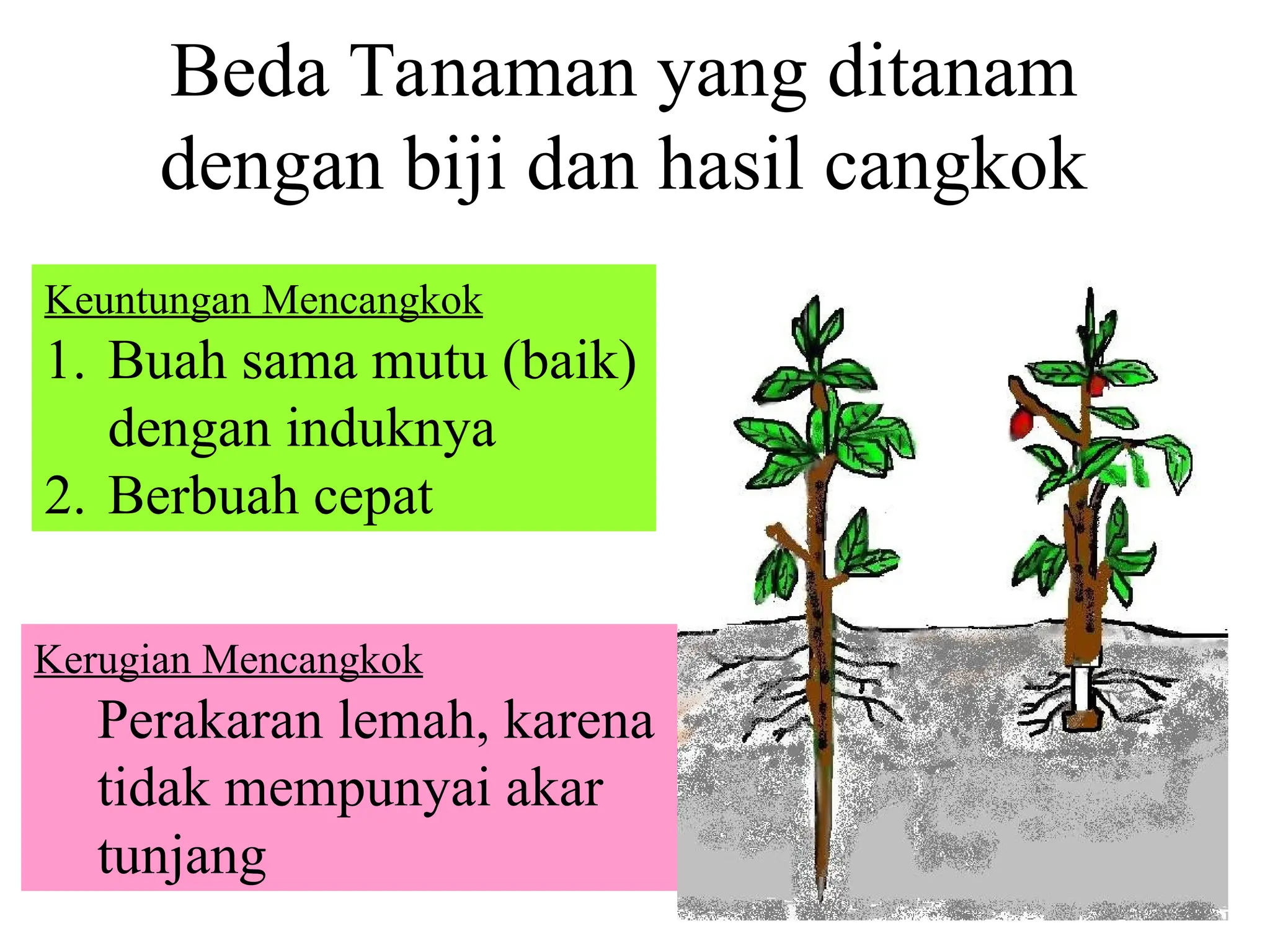 perkembangbiakan tumbuhan,jenis-jenis penyerbukan | PPT