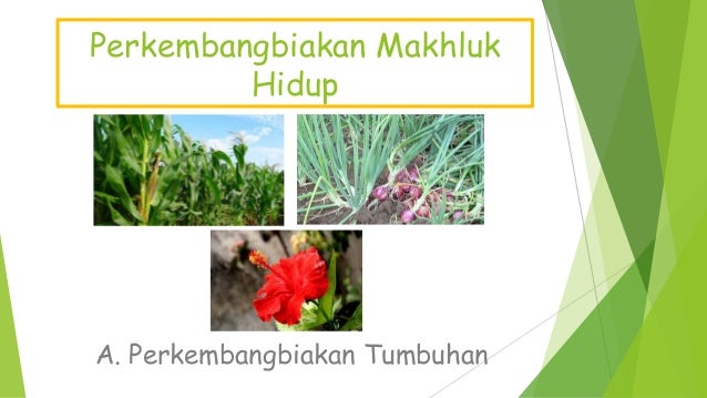 Perkembangbiakan Makhluk Hidup Tumbuhan