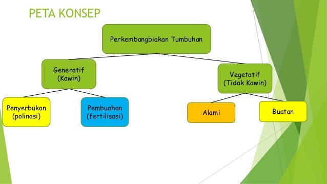 Perkembangbiakan Makhluk Hidup Tumbuhan