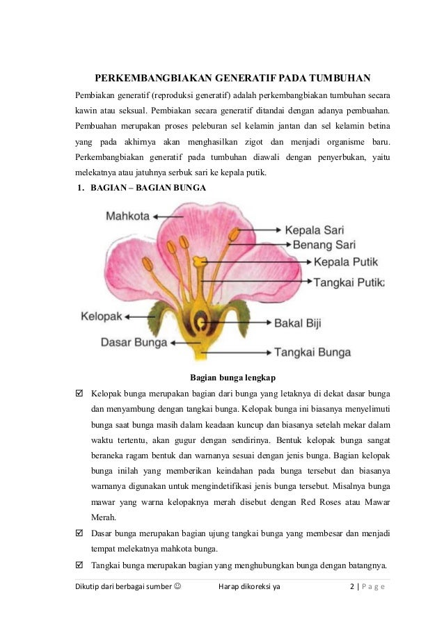 58 Gambar Bagian Bunga Melati Dan Cara Penyerbukan Gokil