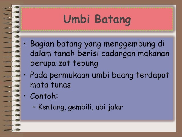 Perkembangbiakan tumbuhan secara vegetatif