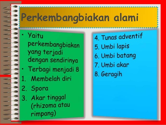 Contoh Gambar Vegetatif Alami - JobsDB