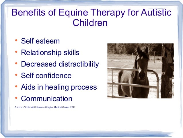 Equine Therapy and Autism