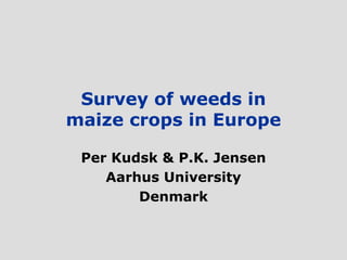Survey of weeds in
maize crops in Europe

 Per Kudsk & P.K. Jensen
    Aarhus University
        Denmark
 