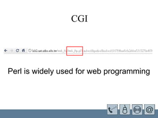   CGI Perl is widely used for web programming 