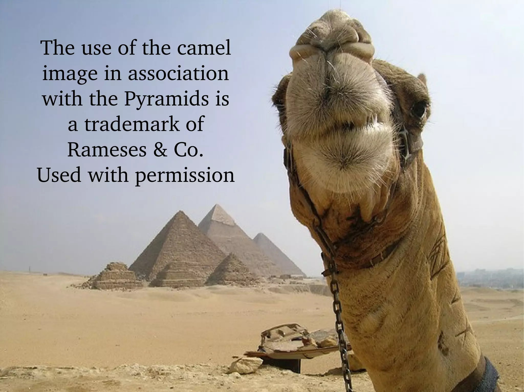 The use of the camel image in association with the Pyramids is a trademark of Rameses & Co. Used with permission 