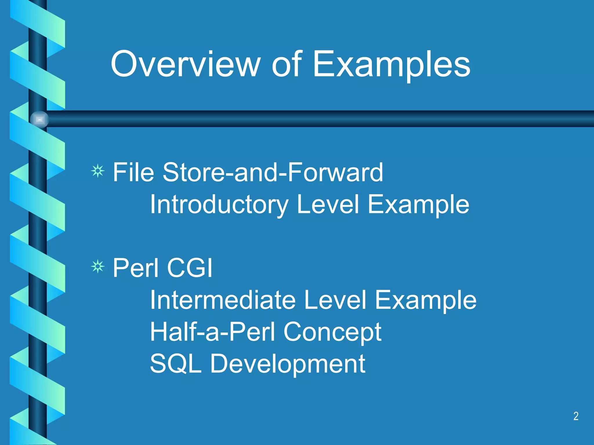 Overview of Examples File Store-and-Forward Introductory Level Example Perl CGI Intermediate Level Example Half-a-Perl Concept SQL Development 