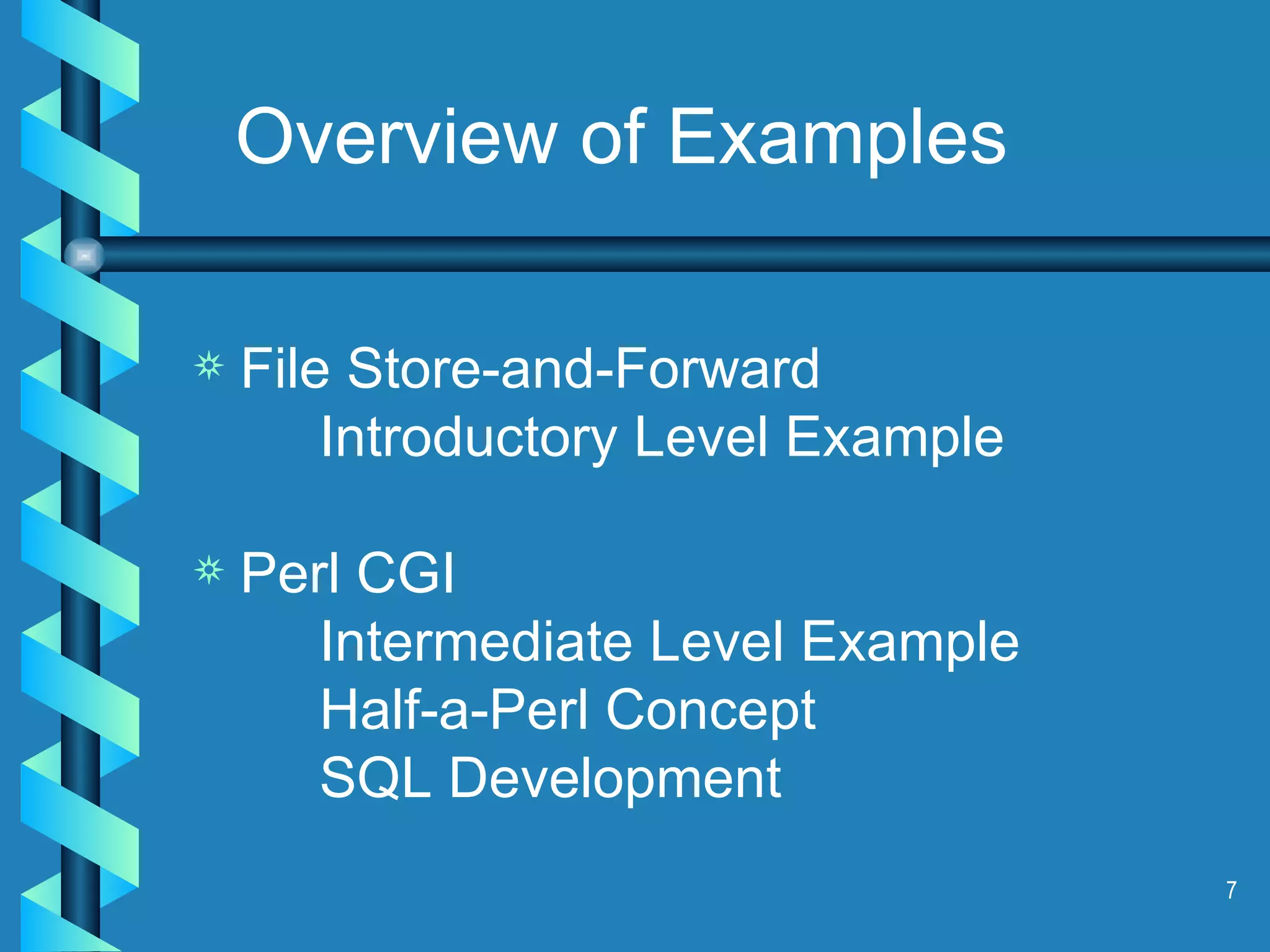 Overview of Examples File Store-and-Forward Introductory Level Example Perl CGI Intermediate Level Example Half-a-Perl Concept SQL Development 