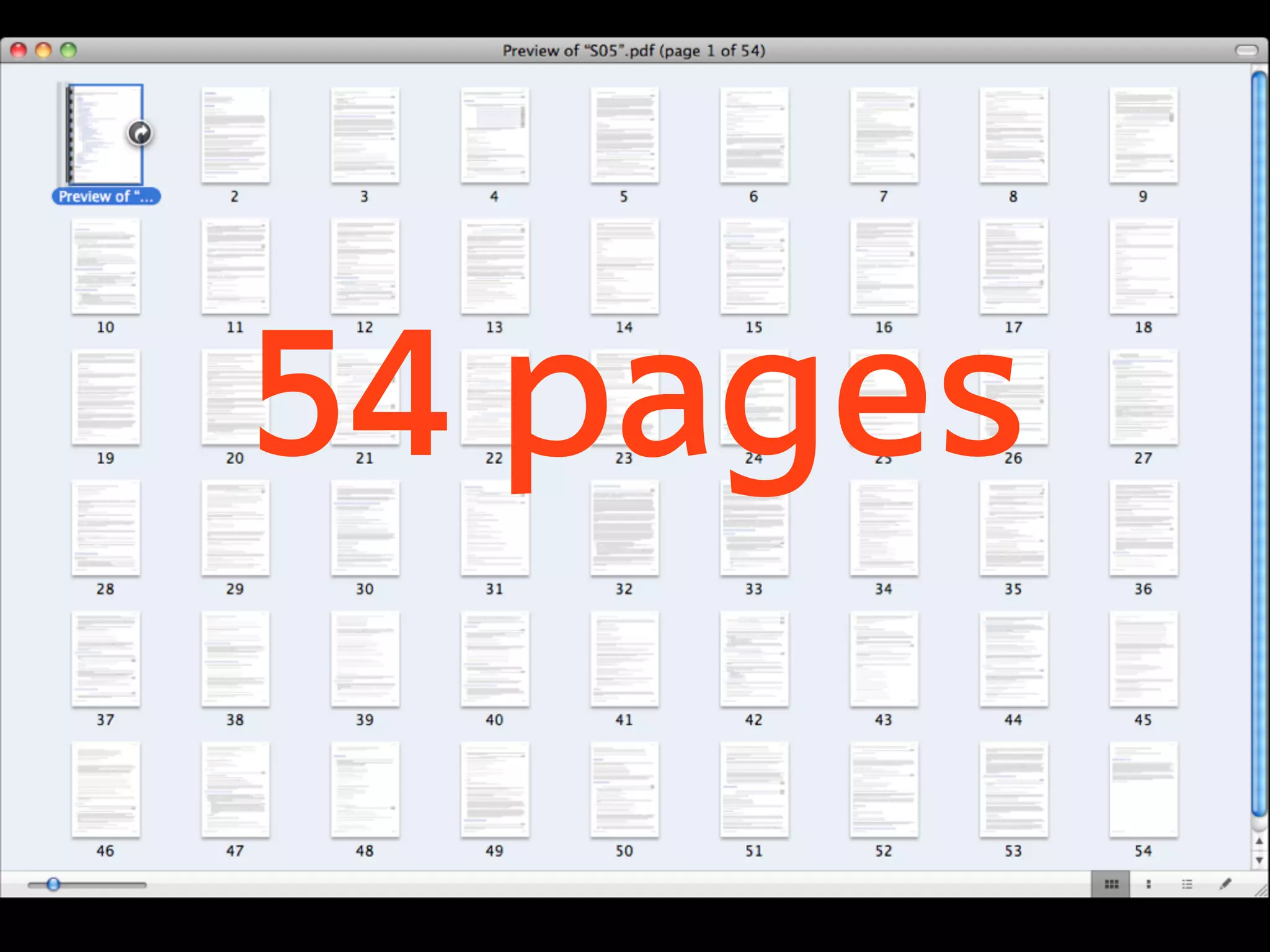 54 pages
 