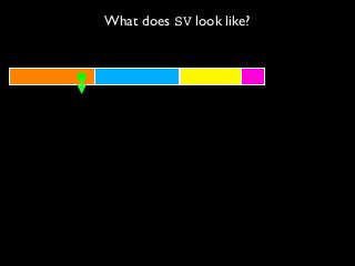 What does SV look like?
 
