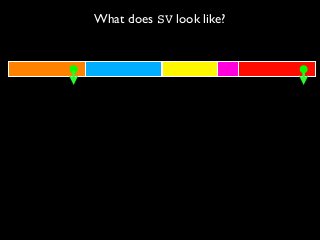 What does SV look like?
 
