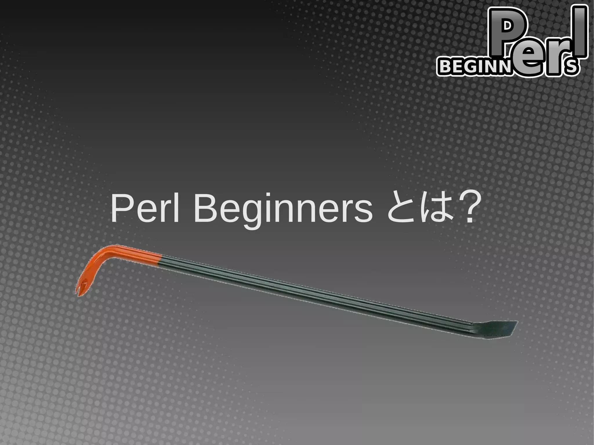 Perl Beginners とは？
 