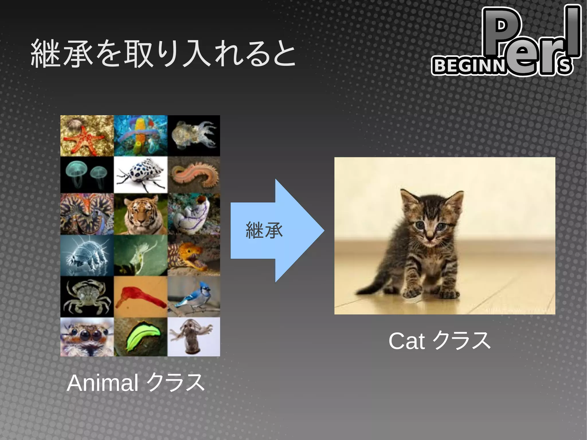 継承を取り入れると




              継承




                   Cat クラス
 Animal クラス
 