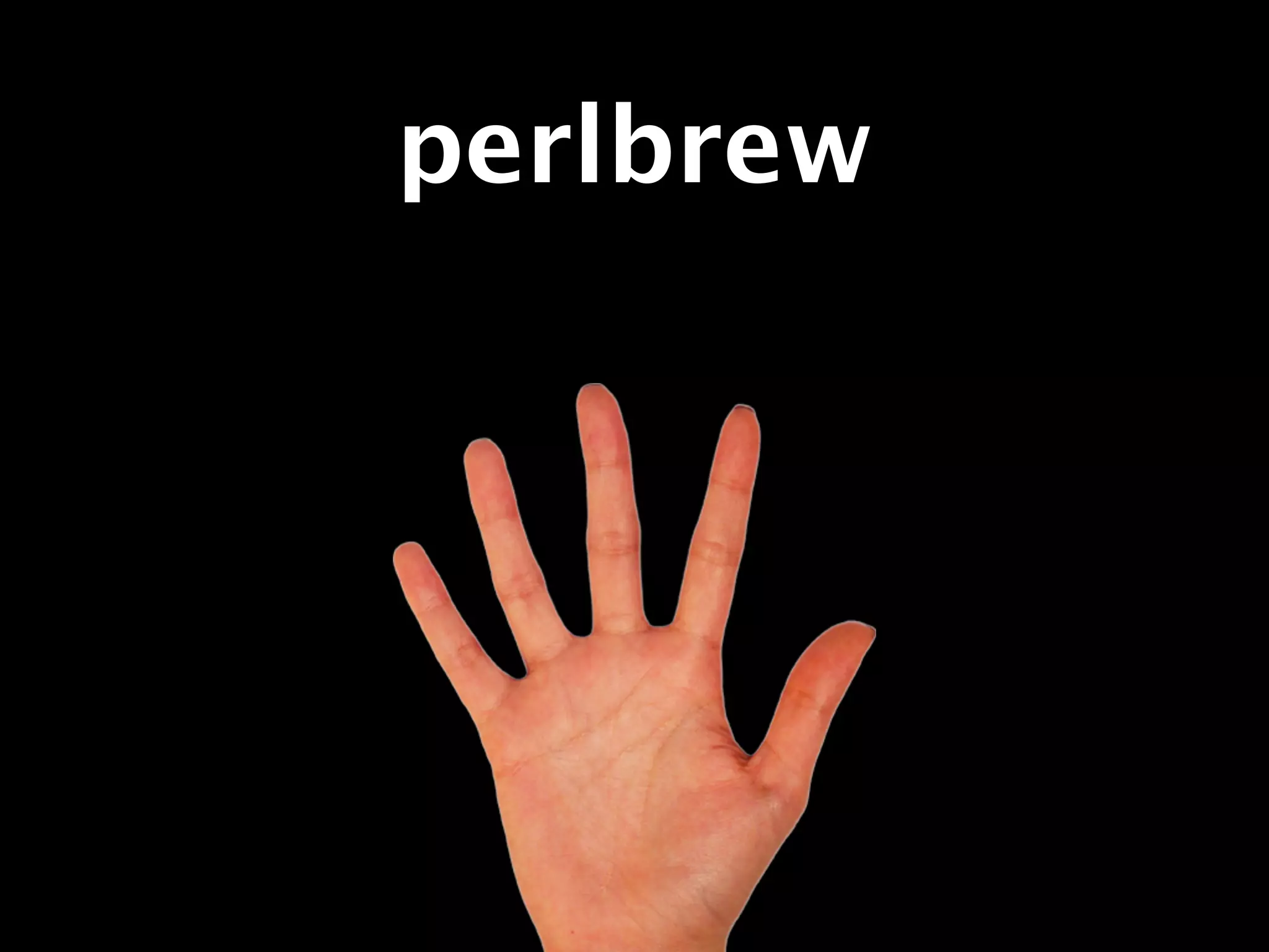 perlbrew
 