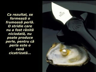 Ca rezultat, se formează o frumoasă perlă .  O stridie care nu a fost rănită niciodată, nu poate produce perle ,  pentru că perla este o rană cicatrizată ... 