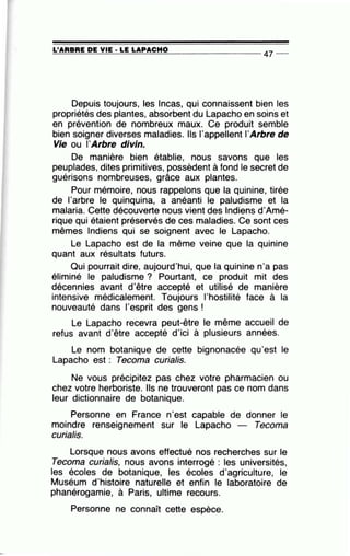 =L'=A=R=B=R=E~D=E~V~I=E-· =L=E~L=A~P=A=C=H=0----------------- 47 --
Depuis toujours, les Incas, qui connaissent bien les
propriétés des plantes, absorbent du Lapacho en soins et
en prévention de nombreux maux. Ce produit semble
bien soigner diverses maladies. Ils l'appellent l'Arbre de
Vie ou l'Arbre divin.
De manière bien établie, nous savons que les
peuplades, dites primitives, possèdent à fond le secret de
guérisons nombreuses, grâce aux plantes.
Pour mémoire, nous rappelons que la quinine, tirée
de l'arbre le quinquina, a anéanti le paludisme et la
malaria. Cette découverte nous vient des Indiens d'Amé-
rique qui étaient préservés de ces maladies. Ce sont ces
mêmes Indiens qui se soignent avec le Lapacho.
Le Lapacho est de la même veine que la quinine
quant aux résultats futurs.
Qui pourrait dire, aujourd'hui, que la quinine n'a pas
éliminé le paludisme ? Pourtant, ce produit mit des
décennies avant d'être accepté et utilisé de manière
intensive médicalement. Toujours l'hostilité face à la
nouveauté dans l'esprit des gens !
Le Lapacho recevra peut-être le même accueil de
refus avant d'être accepté d'ici à plusieurs années.
Le nom botanique de cette bignonacée qu'est le
Lapacho est : Tecoma curialis.
Ne vous précipitez pas chez votre pharmacien ou
chez votre herboriste. Ils ne trouveront pas ce nom dans
leur dictionnaire de botanique.
Personne en France n'est capable de donner le
moindre renseignement sur le Lapacho - Tecoma
curialis.
Lorsque nous avons effectué nos recherches sur le
Tecoma curialis, nous avons interrogé : les universités,
les écoles de botanique, les écoles d'agriculture, le
Muséum d'histoire naturelle et enfin le laboratoire de
phanérogamie, à Paris, ultime recours.
Personne ne connaît cette espèce.
 