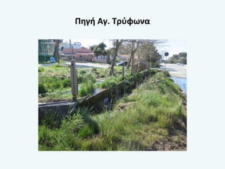 Πηγή Αγ. Τρύφωνα
 