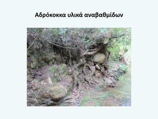 Αδρόκοκκα υλικά αναβαθμίδων
 