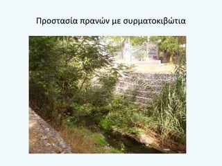 Προστασία πρανών με συρματοκιβώτια
 