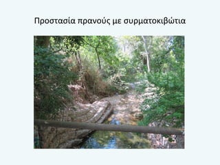 Προστασία πρανούς με συρματοκιβώτια
 