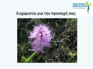 Ευχαριστώ για την προσοχή σας
 