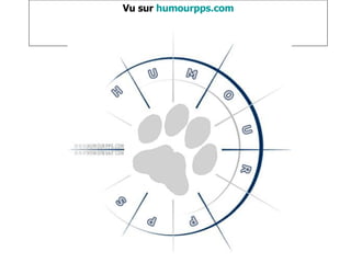 Vu sur  humourpps.com 