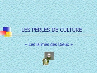 LES PERLES DE CULTURE « Les larmes des Dieux » 