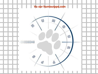 Vu sur humourpps.com