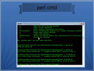 perl cmd
 
