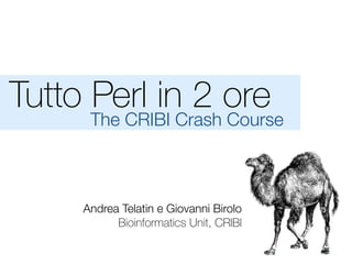 Tutto Perl in 2 ore
The CRIBI Crash Course
Andrea Telatin e Giovanni Birolo
Bioinformatics Unit, CRIBI
 