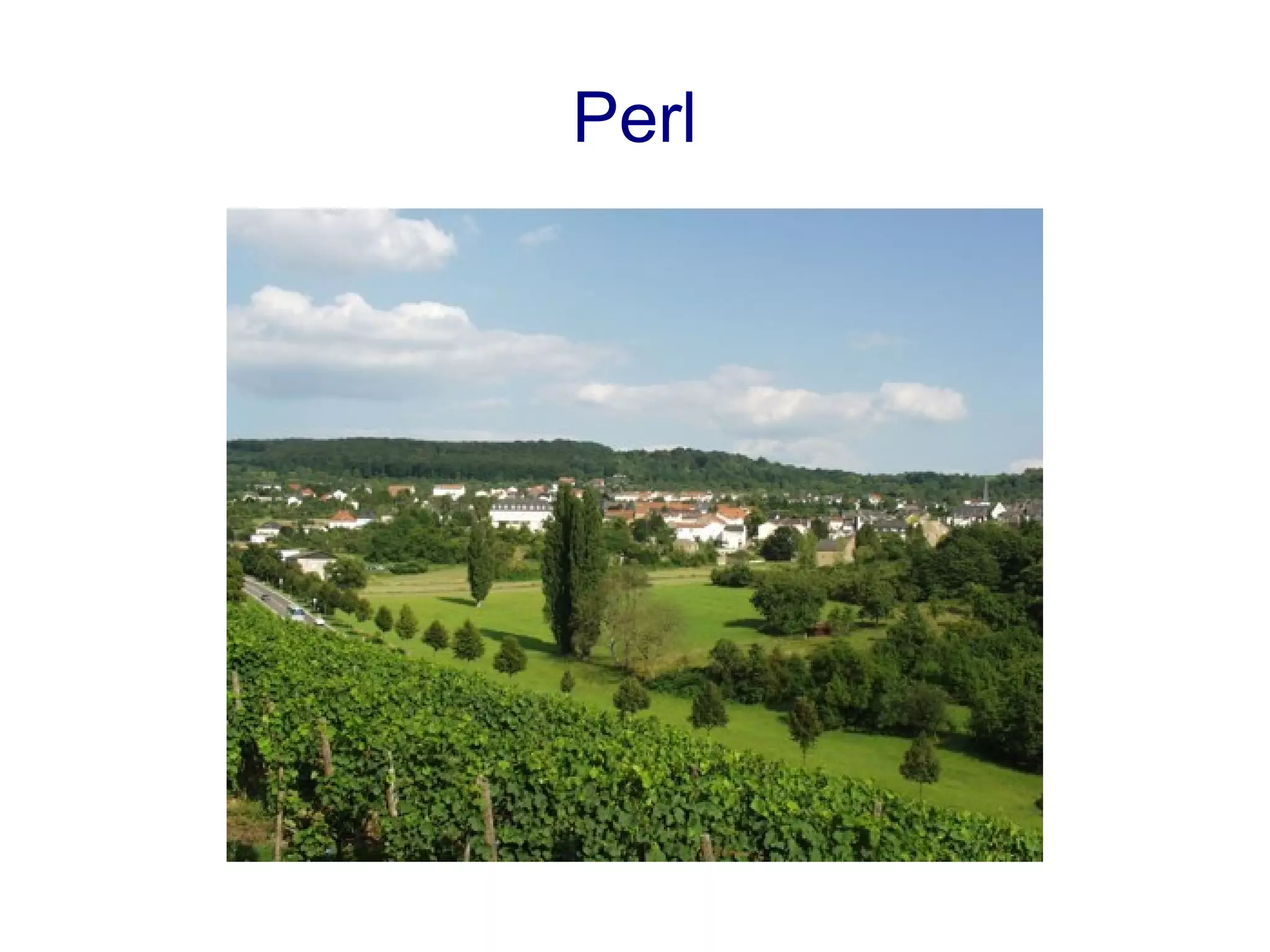 Perl
 