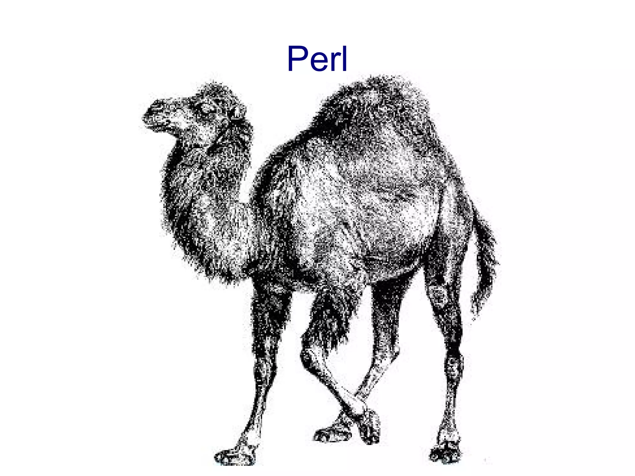 Perl
 