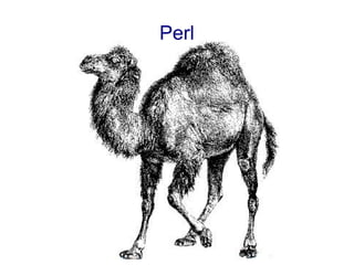 Perl
 