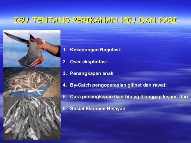 Pelestarian Jenis Ikan Lokal: Mengenal Keunikan dan Pentingnya Perlindungan di Desa Cikoneng
