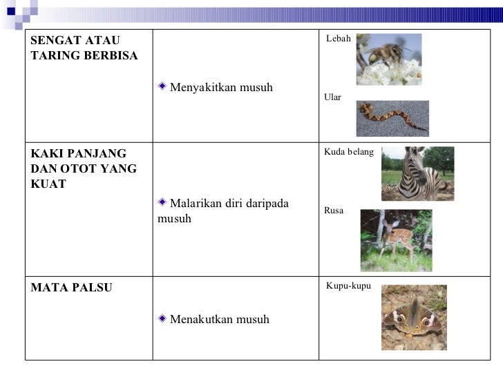 Perlindungan Haiwan Daripada Bahaya