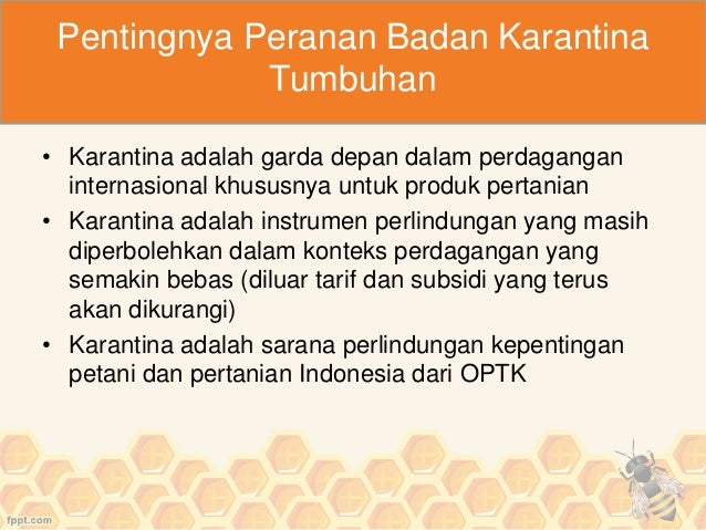 India perdagangan opsi masa depan