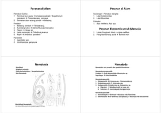 PerananPeranan didi AlamAlam
Pemakan Gulma
1. Pembuat puru pada Cromolaena odorata / Eupathorium
odoratum Procecidocares connexa
2. Pemakan daun eceng gondok Belalang
Predator
1. Belalang sembah Tenodera sp.
2. Kumbang koksi Menochilus sexmaculatus
3. Tawon Vespa sp.
4. Lalat perompak Philodicus javanus
5. Kepik Andrallus spinidens
Parasitoid
1. Apanteles spp.
2. Xanthopimpla gampsura
PerananPeranan didi AlamAlam
Scavenger / Pemakan bangkai
1. Lalat Calliphoridae
2. Lalat Muscidae
Polinator
1. Apis mellifera, Apis spp.
PerananPeranan EkonomisEkonomis untukuntuk ManusiaManusia
1. Lebah Penghasil Madu Apis mellifera
2. Penghasil benang sutra Bombix mori
NematodaNematoda
Klasifikasi:
Kingdom Animalia
Filum Aschalminthes / Nemathelminthes
Klas Nematoda
Morfologi Nematoda
http://plpnemweb.ucdavis.edu/nemaplex/images/G76S5.jpg
NematodaNematoda
Nematoda: non parasitik dan parasitik tumbuhan
Nematoda non parasitik:
Predator Ordo Mononchida: Mononchus sp.
Saprofagus Ordo Rhabditida
Nematoda parasitik:
1. Ektoparasitik Criconema sp., Criconemoides sp.
2. Endoektoparasitik Heterodera sp.
3. Endoparasitik: Pratylenchus sp., Radopholus sp.
a. Migratory bisa berpindah ke inang lain
b. Sedentary menetap pada inang pertama
Nematoda parasitik:
1. Stomatostylet berknob biasanya ordo Tylenchida
2. Odontostylet tak berknob, style panjang biasanya ordo Dorylaimida
 