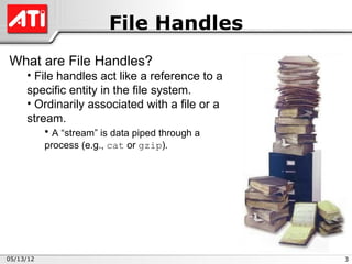 File Handles
What are File Handles?
     • File handles act like a reference to a
     specific entity in the file system.
     • Ordinarily associated with a file or a
     stream.
         • A “stream” is data piped through a
           process (e.g., cat or gzip).




05/13/12                                        3
 
