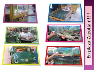 En plaza Zapotlán!!!!!
 