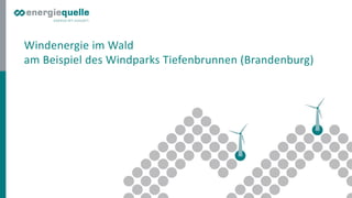 Windenergie im Wald
am Beispiel des Windparks Tiefenbrunnen (Brandenburg)
 