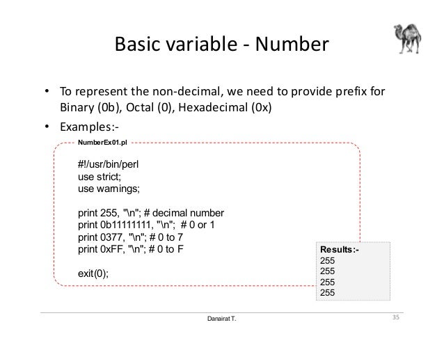 perl syntax