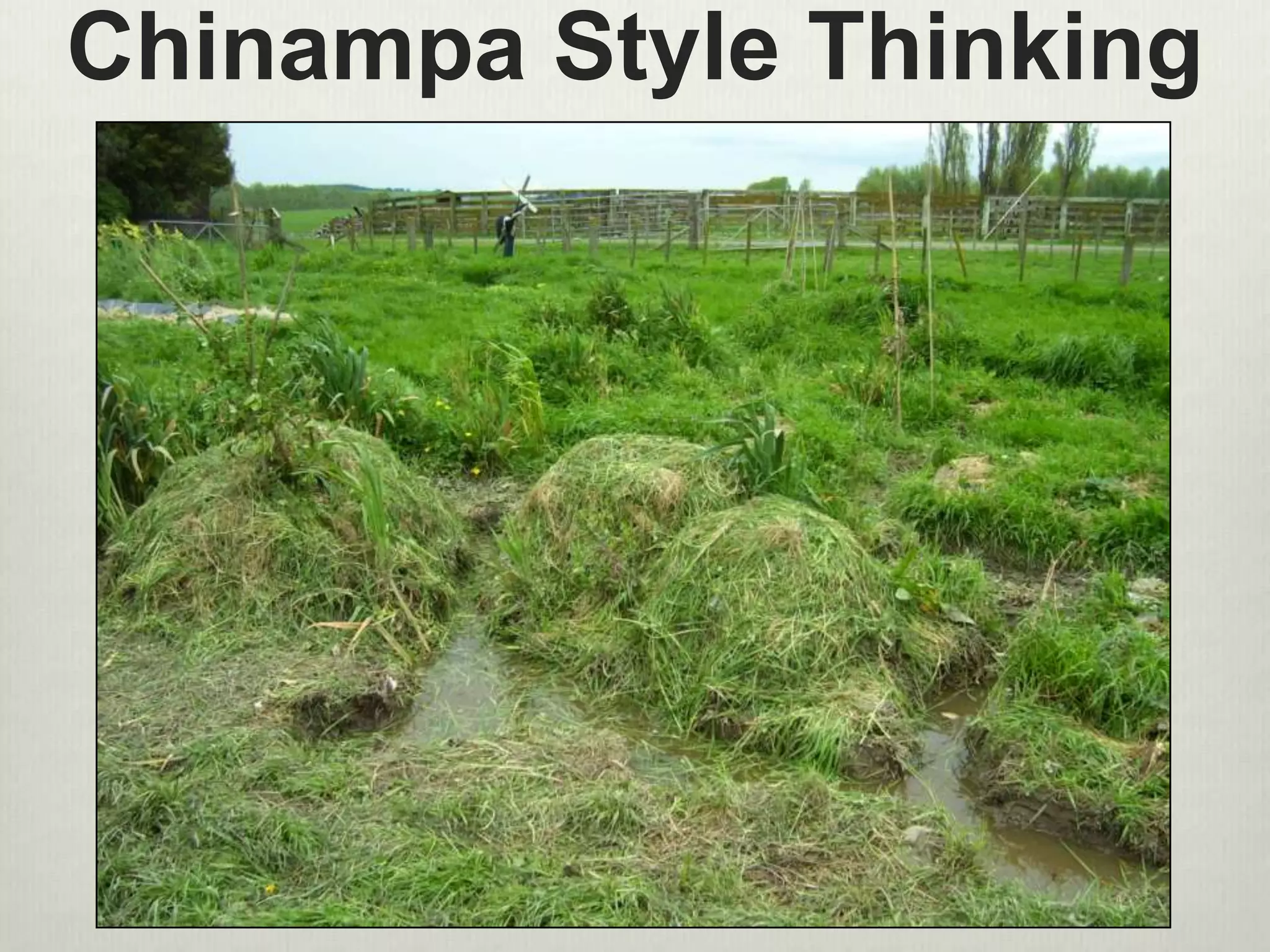 Chinampa Style Thinking